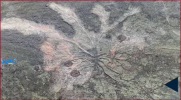 385 مليون سنة.. غابة القاهرة الأحفورية تكشف تفاصيل غير مسبوقة عن ماضي الأرض